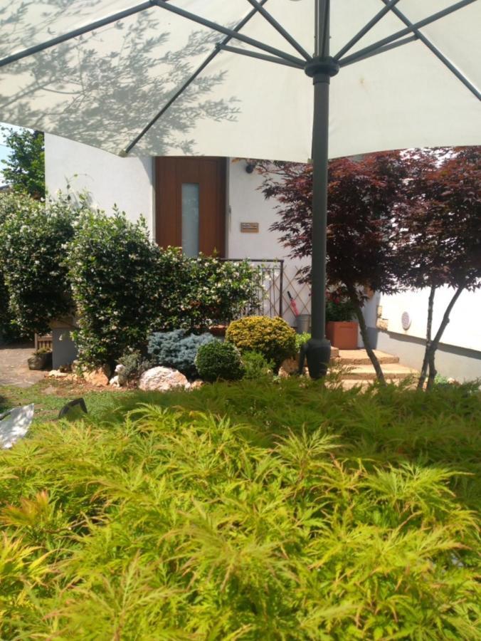 Le Betulle Bed & Breakfast Zanica Екстериор снимка