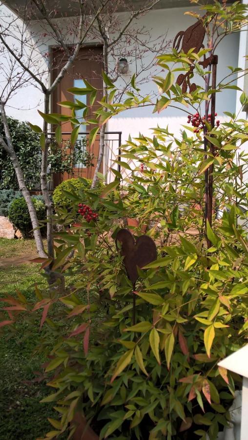 Le Betulle Bed & Breakfast Zanica Екстериор снимка